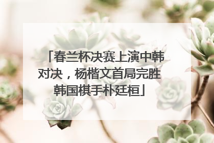 春兰杯决赛上演中韩对决，杨楷文首局完胜韩国棋手朴廷桓